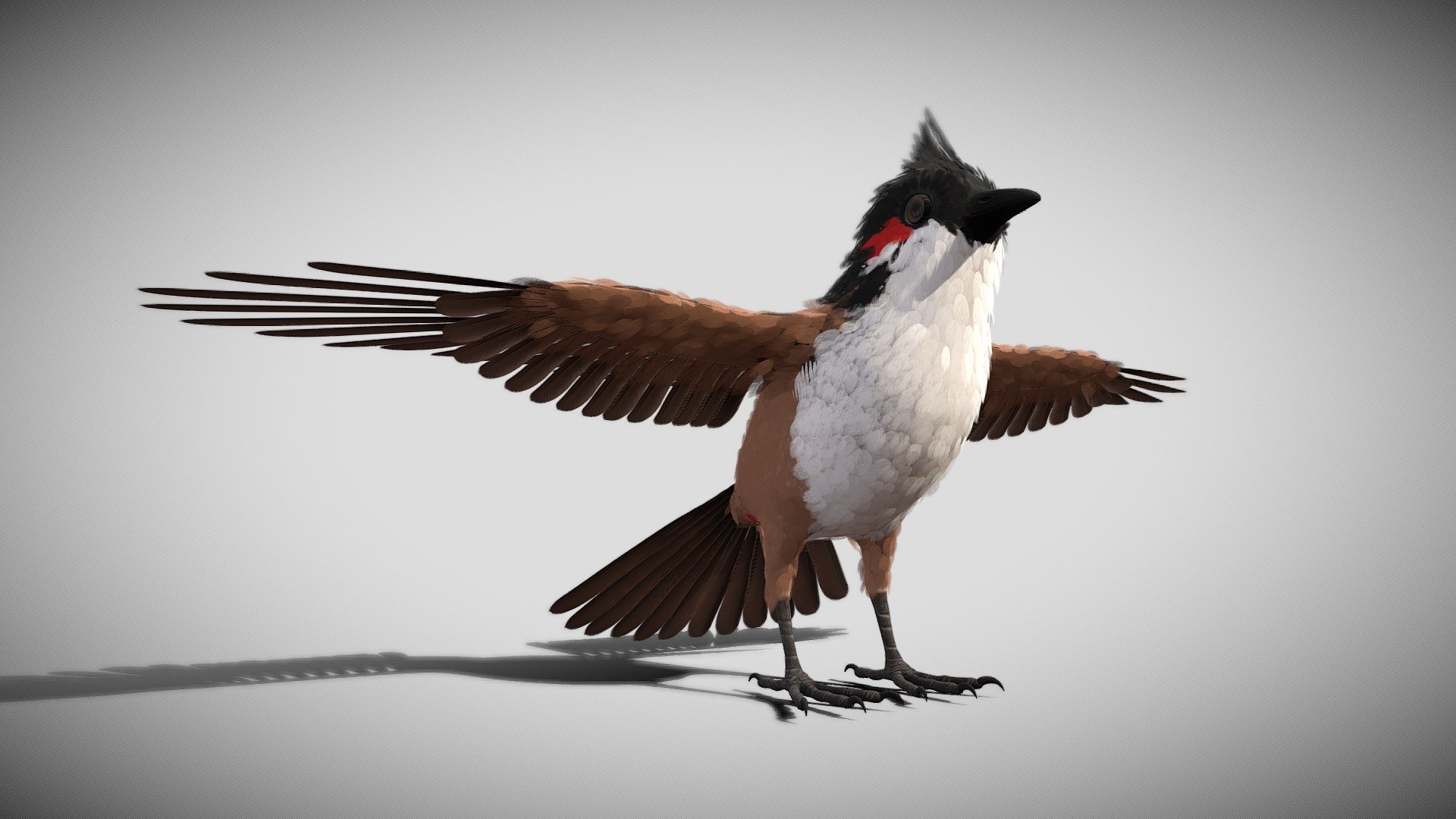 Ultra fine binding bird model, model birds, suitable for film and television animation, film, advertising and so on.

File formats:

Maya 2017 (MB) (Redshift 2.5 version) Fang binxin

Model:

Film and television animation model, quadrilateral wiring, meeting the needs of the animation

Map and material:

A total of 41 high resolution map + 4 environment map. If you need to use other renderers equipment simply to replace the corresponding rendering quality

Binding:

Maya format with all complete binding. Fang binxing format has bone skin, but needs to be associated with the controller, no IK. ABC format only model All the joints after fine binding.

Render:

The Redshift renderer Contained in the Maya scene lighting, render Settings are set up, open the Maya scene can be rendered.

Other works ~ welcome to visit my home page - Bird bird sparrows binding model 3D model - Buy Royalty Free 3D model by mpc199075 3d model