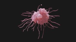 Cancer Cell Tumor