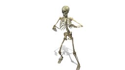 SKELETON body, skeleton, anatomy, prop, bone, dance, rig, baked, character, game, 3d, blender, blender3d, skull, characters, animation, animated, rigged, gameready, bones, rumba, characteranimated, characterrigged