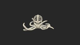 Octopus with skeleton skeleton, octopus, halloween