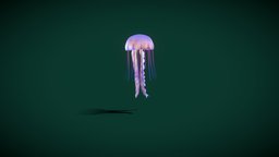 JellyFish (Scyphozoa) fish, organism, animals, aquatic, jellyfish, invertebrates, creature, animation, sea, scyphozoa, nyi, nyilonelycompany, noai