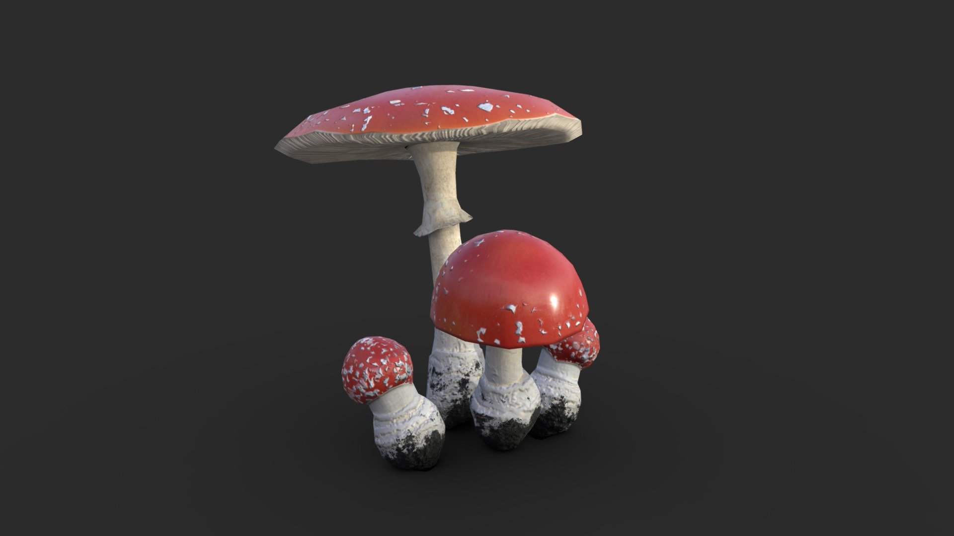 This Amanita Muscaria set includes 3 individuals &amp; 4 prefabs of the mushrooms. The set also includes 3 LODs for each object. 

The asset is available in realistic style and can be used in any game (post-apo, first person shooter, GTA like, construction… ). All objects share a unique material for the best optimization for games.

Those AAA game assets of fly agaric toxic mushroom will embellish you scene and add more details which can help the gameplay and the game-design or level-design. 

Low-poly model &amp; Blender native 3.1

SPECIFICATIONS




Objects : 7

Polygons : 928

Render engine : Eevee (Cycles ready)

GAME SPECS




LODs : Yes (inside FBX for Unity &amp; Unreal)

Numbers of LODs : 3

EXPORTED FORMATS




FBX

Collada

OBJ

TEXTURES




Materials in scene : 1

Textures sizes : 4K

Textures types : Base Color, Roughness, Normal (DirectX &amp; OpenGL), Heigh, AO &amp; SSS (also Unity &amp; Unreal ARM workflow maps)

Textures format : PNG
 - Fly Amanita - Buy Royalty Free 3D model by KangaroOz 3D (@KangaroOz-3D) 3d model