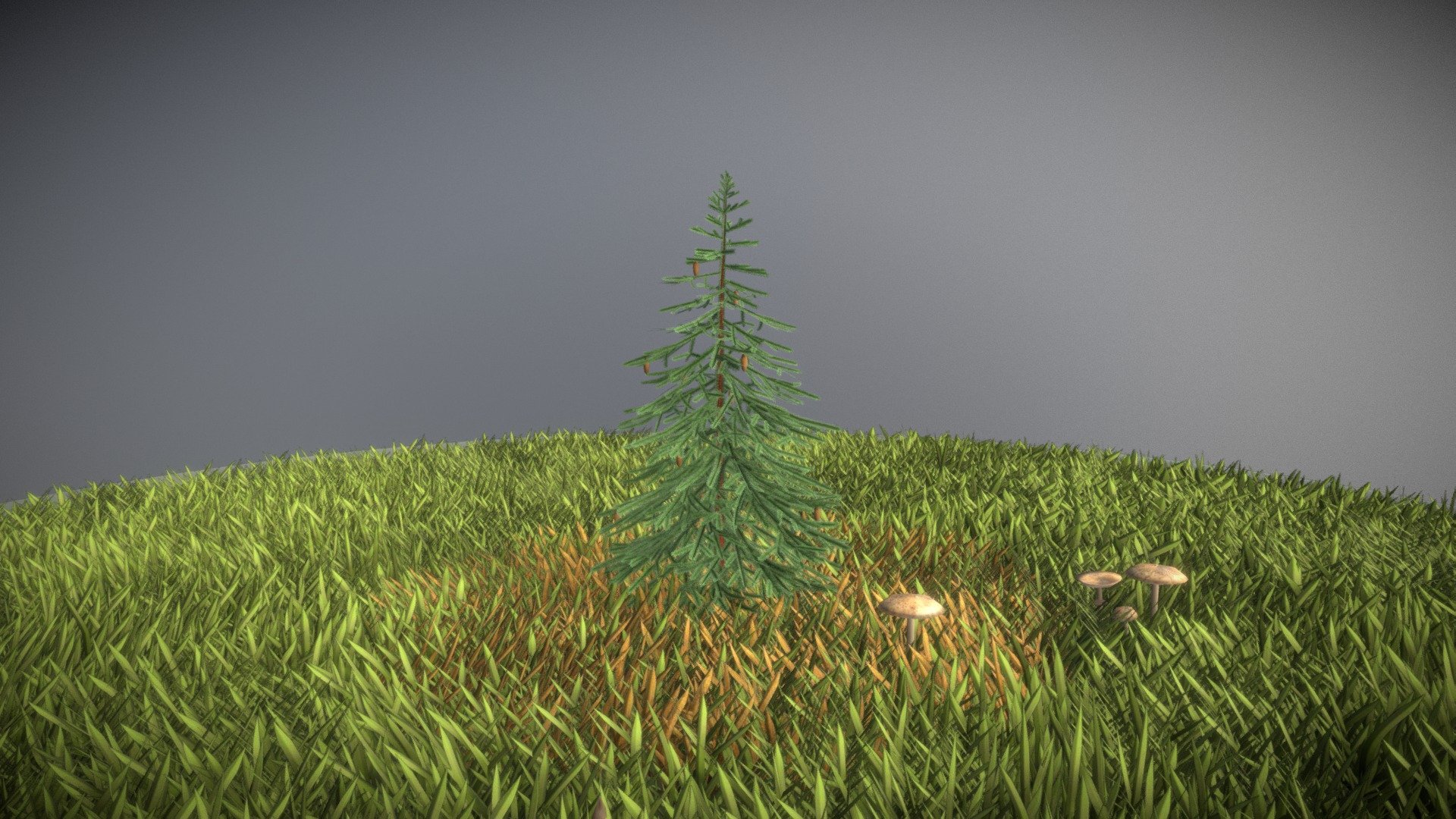 Here is a 2 meter high spruce tree.





Textures:

-Color map

-Normal map



Here on Sketchfab you can see and purchase some of our 3d-models which we are using in our projects for VIS-All.

This model was created by 3DHaupt for the Software-Service John GmbH.

The model was created in Blender-3d - Spruce Tree - 2 Meter - Buy Royalty Free 3D model by VIS-All-3D (@VIS-All) 3d model