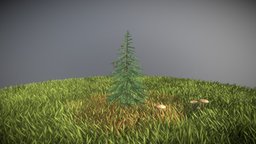 Spruce Tree tree, plant, terrain, evergreen, vegetation, nature, needle, game-ready, spruce, fir, blender-3d, conifer, vis-all-3d, 3dhaupt, software-service-john-gmbh, low-poly