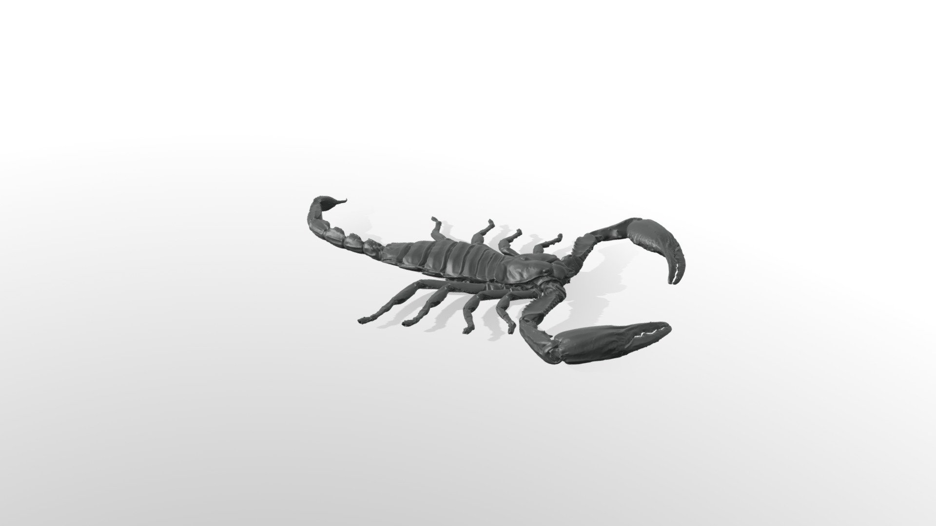 Scorpion - 3D model by haraseisakusyo (@yousuke1500) 3d model