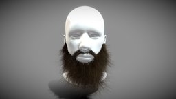 Big Long Beard face, hair, style, barber, rocker, survivor, head, facial, bearded, hairy, homeless, haircut, hairstyle, bigbeard, barba, man, male, longbeard, barbado, face-beard, facial-hair