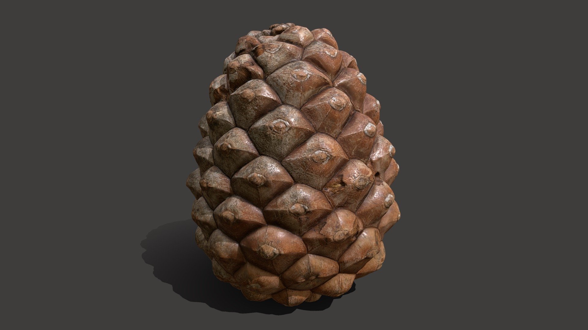 Quick scan of a pine cone

Feel free to use it as you want!



Made with Metashape, Blender and Subtance painter/sampler 



If you have any questions, contact me.

 
 

 - Pine cone - Download Free 3D model by Zacxophone 3d model