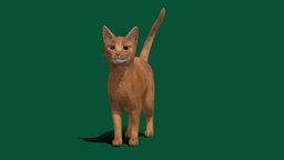 Abyssinian Ginger Cat cat, cute, pet, animals, feline, abyss, breed, animation, abyssinian, tabbycat, red_cat, nyilonelycompany, noai, felis_catus, ginger_cats, short_hair