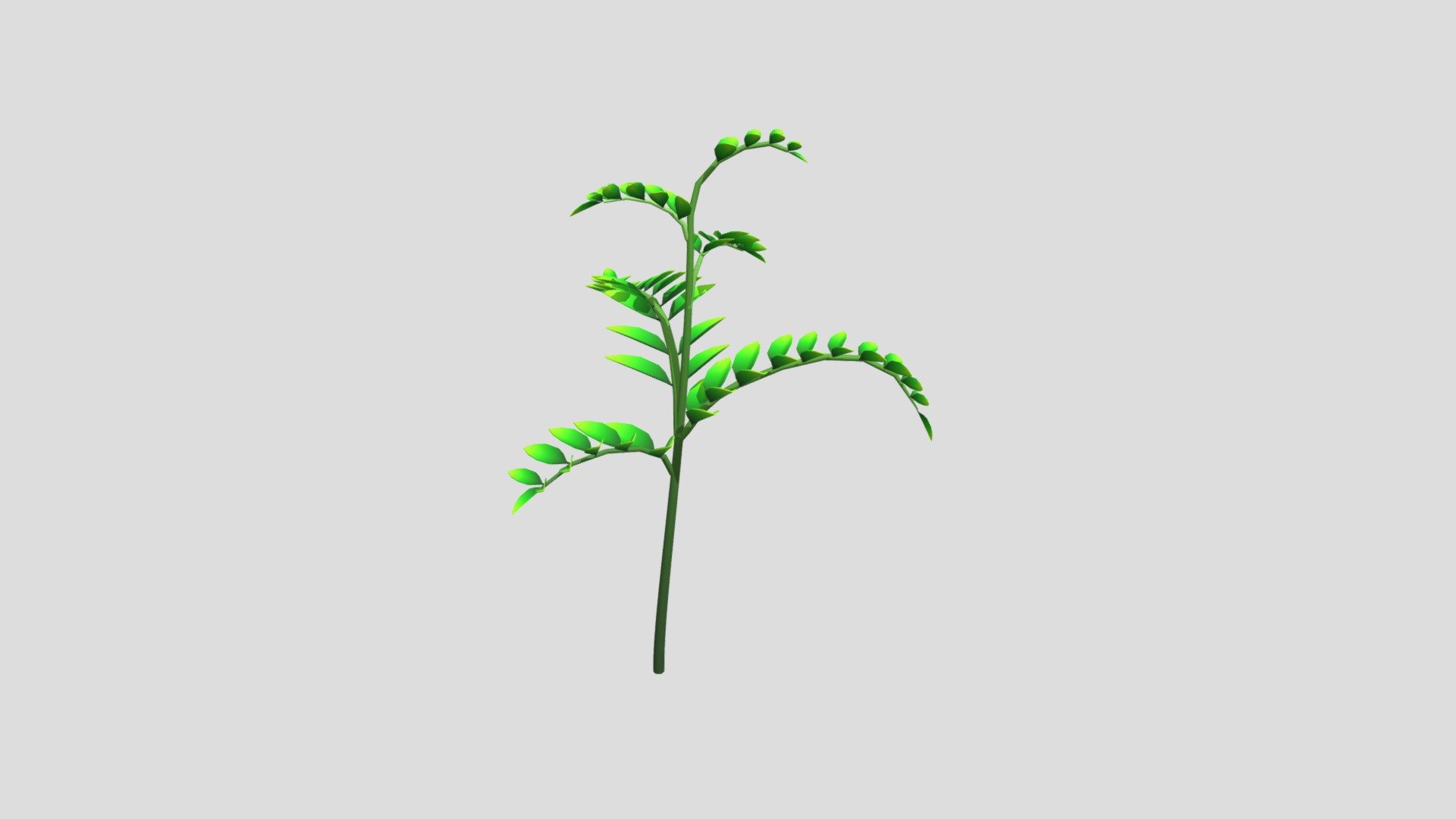 Just a herb 3d model