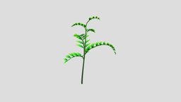 herb_Scutellaria lateriflora green, plant, grass, herb, herbalist, herbs