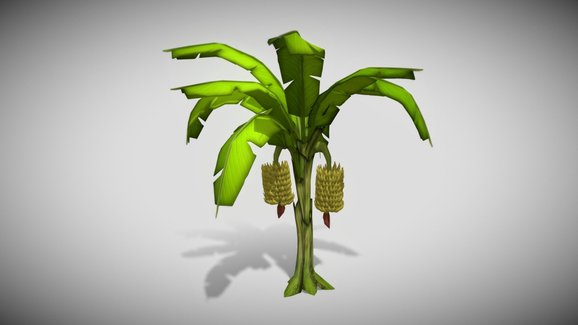 You’ll get

FBX

contact me if you wanted to make custom model

htrinurcahyo@gmail.com

im from INDONESIA - Banana Tree - 3D model by ubnilluminati 3d model