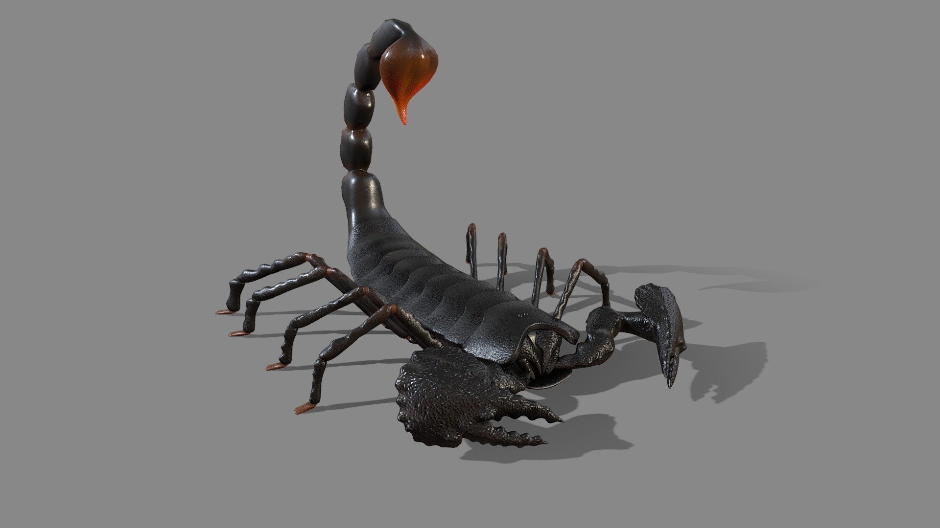 Modelling in Blender

Painting in Substance Painter
 - Scorpion - Download Free 3D model by gozdemrl 3d model