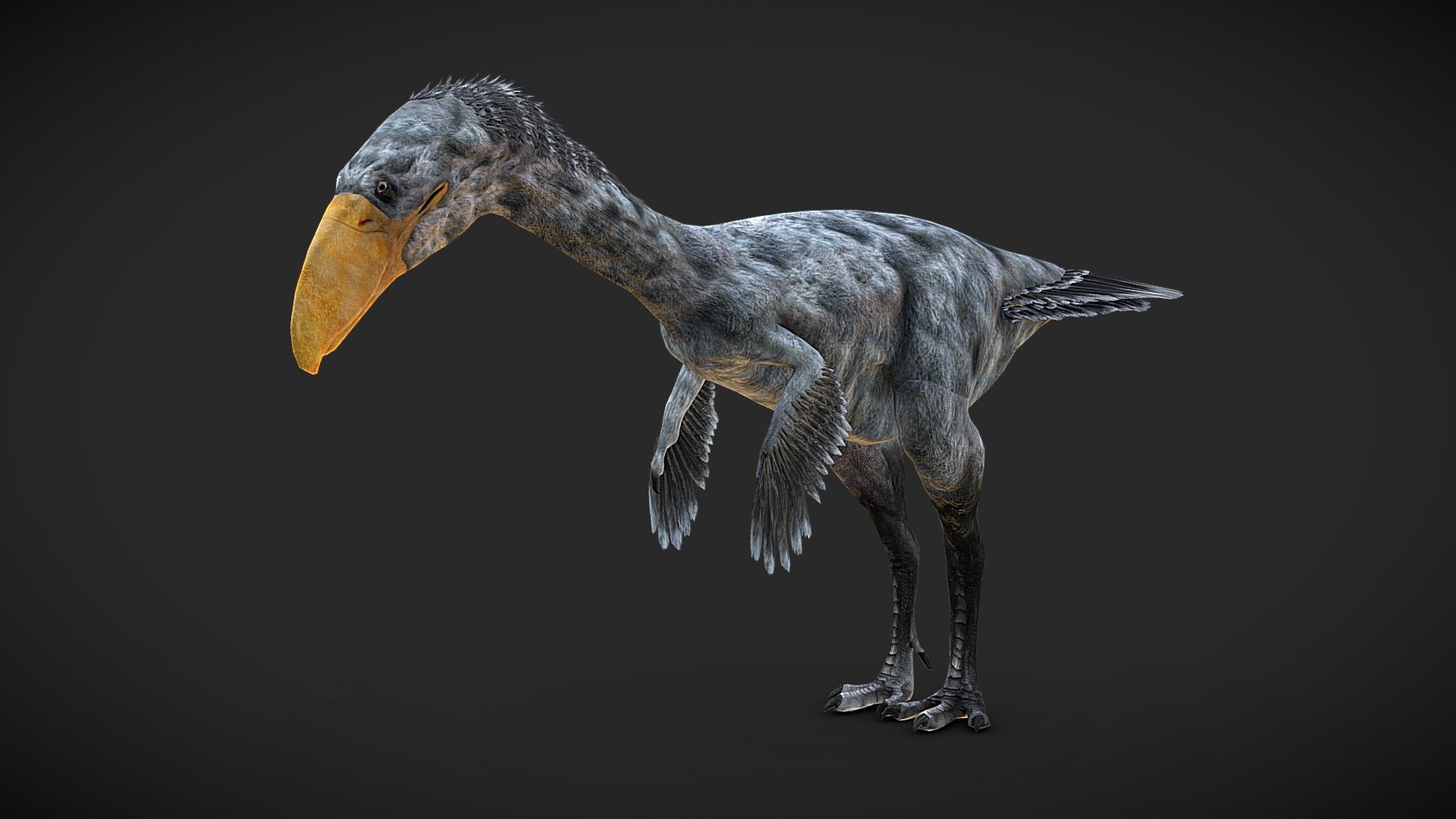 Rigged Terror Bird



The model has textures and retopology.
It is rigged and useful for animation and Game-character creation.

If you liked the model, please, leave a positive review! - Terror Bird (Phorusrhacos) - Rigged - Buy Royalty Free 3D model by Iofry 3d model