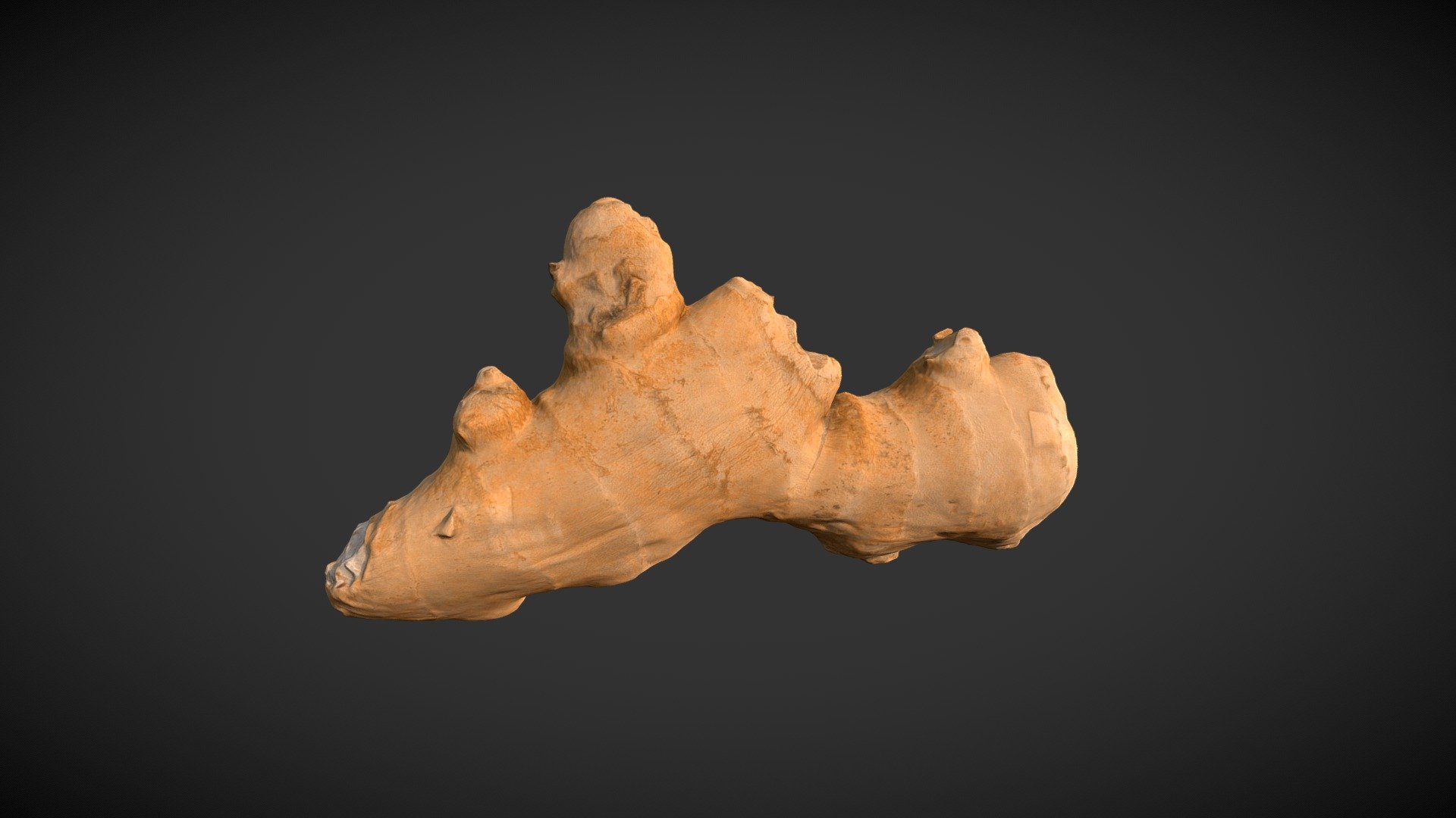 Ginger Root 03 3D Scan - scanned with custom 3D scanner - Ginger Root 03 3D Scan - Buy Royalty Free 3D model by 3DScanX 3d model
