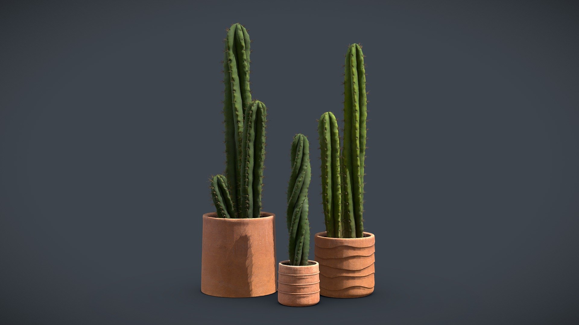 Cactus Pack

Cacti are popular as ornamental plants due to their unique appearance and come in various sizes, shapes, and colors. Cacti are sometimes associated with resilience, endurance, and adaptability due to their ability to survive in challenging conditions. They are also symbolic of the desert landscape and are frequently used in art and design to evoke a sense of the wild and rugged.

4k Textures




Vertices  109 058

Polygons  93 862

Triangles 182 844
 - Cactus Pack - Buy Royalty Free 3D model by AllQuad 3d model