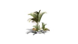 Realistic HD Butterfly palm (56/62) trees, tree, plant, forest, plants, africa, palm, outdoor, foliage, nature