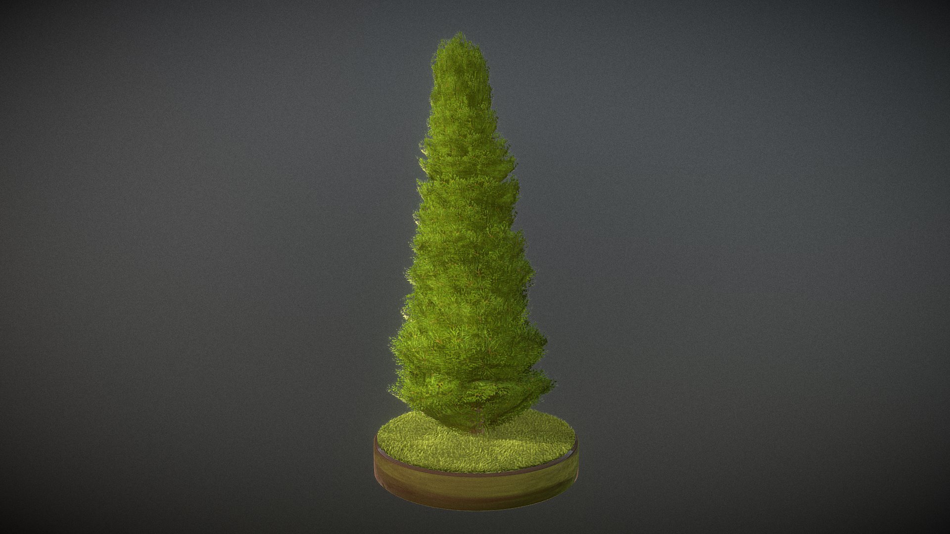 Here is a 4 meter high cypress for your garden scene or house visualization project.











Textures(4k):




Color map

Mask texture for the transparency

Normal map



Here on Sketchfab you can view or purchase some of our 3d-models which we are using in our projects for VIS-All.



The models were created by 3DHaupt for the Software-Service John GmbH.



3D-Model was modelled and textured in blender.









































&ndash; - Cypress - Version 9 - 4 Meter - Buy Royalty Free 3D model by VIS-All-3D (@VIS-All) 3d model