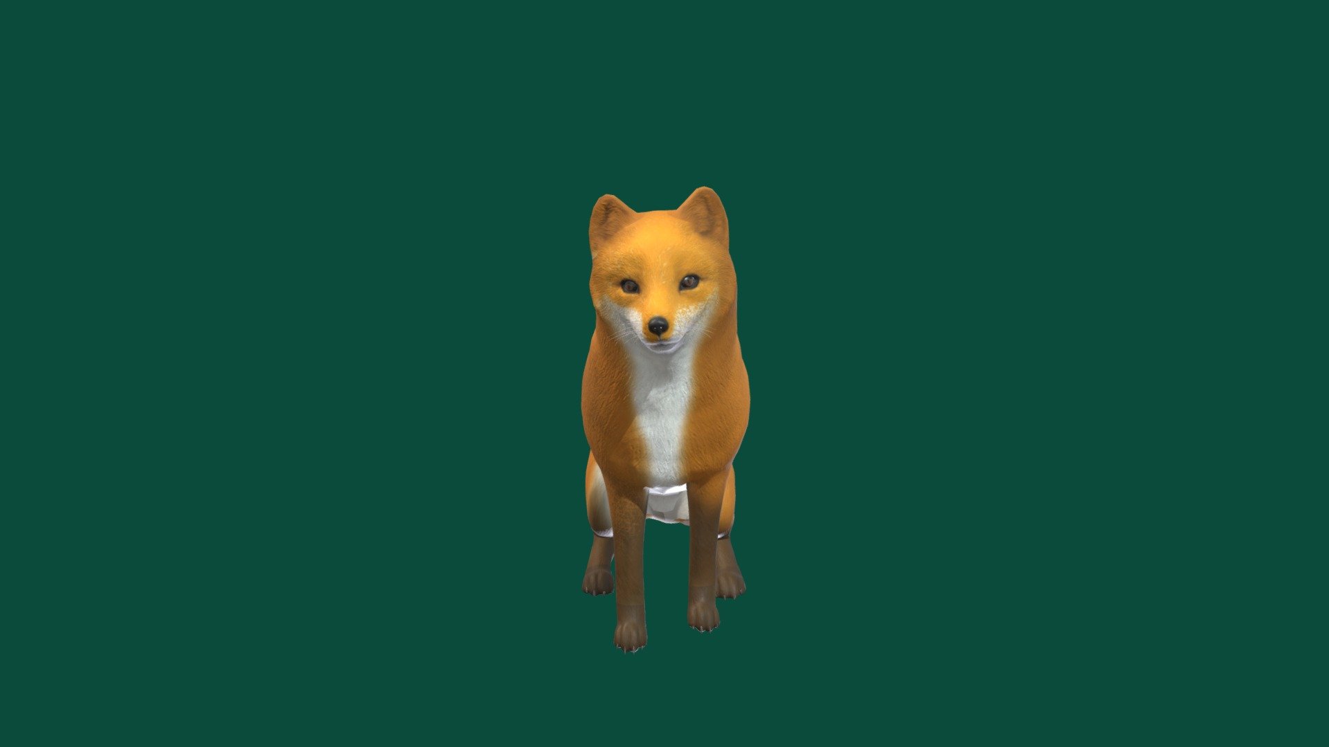 Red Fox for AR Application True Real time Size and dimesnion 

The red fox is the largest of the true foxes and one of the most widely distributed members of the order Carnivora, being present across the entire Northern Hemisphere including most of North America, Europe and Asia, plus parts of North Africa. It is listed as least concern by the IUCN 3d model