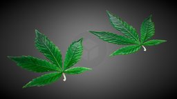 Weed Leaf green, plant, high, unreal, ready, seed, joint, cannabis, engine, drug, stem, marijuana, blunt, ganja, unity3d, game, blender, pbr, low, poly, cinema4d