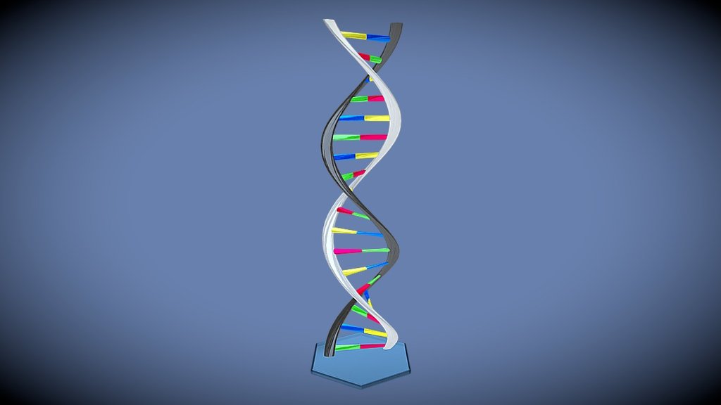 Modelo de segmento de Acido desoxirribonucleico. 
Realizado en programas de modelado tridimensional (Rhino, Solidworks, Inventor, Creo, Solidedge, Onshape, Fusion360) - ADN - 3D model by institutoprima 3d model