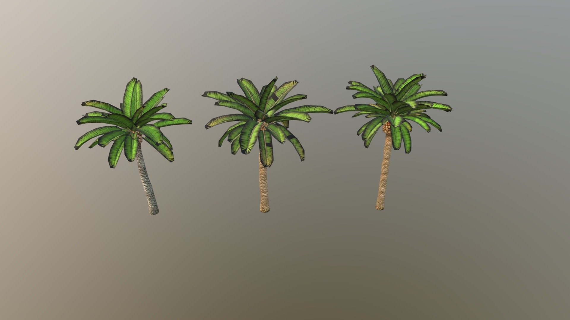 3D Palm Trees
The pack has highly detailed palm trees ready for use in your project. Just drag and drop prefabs into your scene and achieve beautiful results in no time. Available formats FBX, 3DS Max 2017



We are here to empower the creators. Please contact us via the https://aaanimators.com/#contact-area if you are having issues with our assets. Our team will get back to you momentarily.




 The following document provides a highly detailed description of the asset:
[READ ME]()




**Mesh complexities**


Palm_02 a 2705 verts; 2999 tris

Palm_02 b 4140 verts; 4648 tris

Palm_02 c 4497 verts; 4999 tris



Includes 2 sets of textures with 3 materials:




● Diffuse

● Normal

● Specular - Low Poly Palm Trees 02 - 3D model by aaanimators 3d model