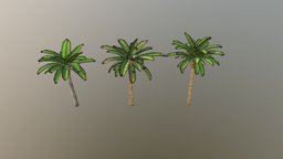 Low Poly Palm Trees 02 trees, landscape, forest, palm, tools, safe, exotic, sand, leaf, grow, enviroment, beach, nature, bush, jungle, lowpolyart, lowpoly-gameasset-gameready, foresty, plane