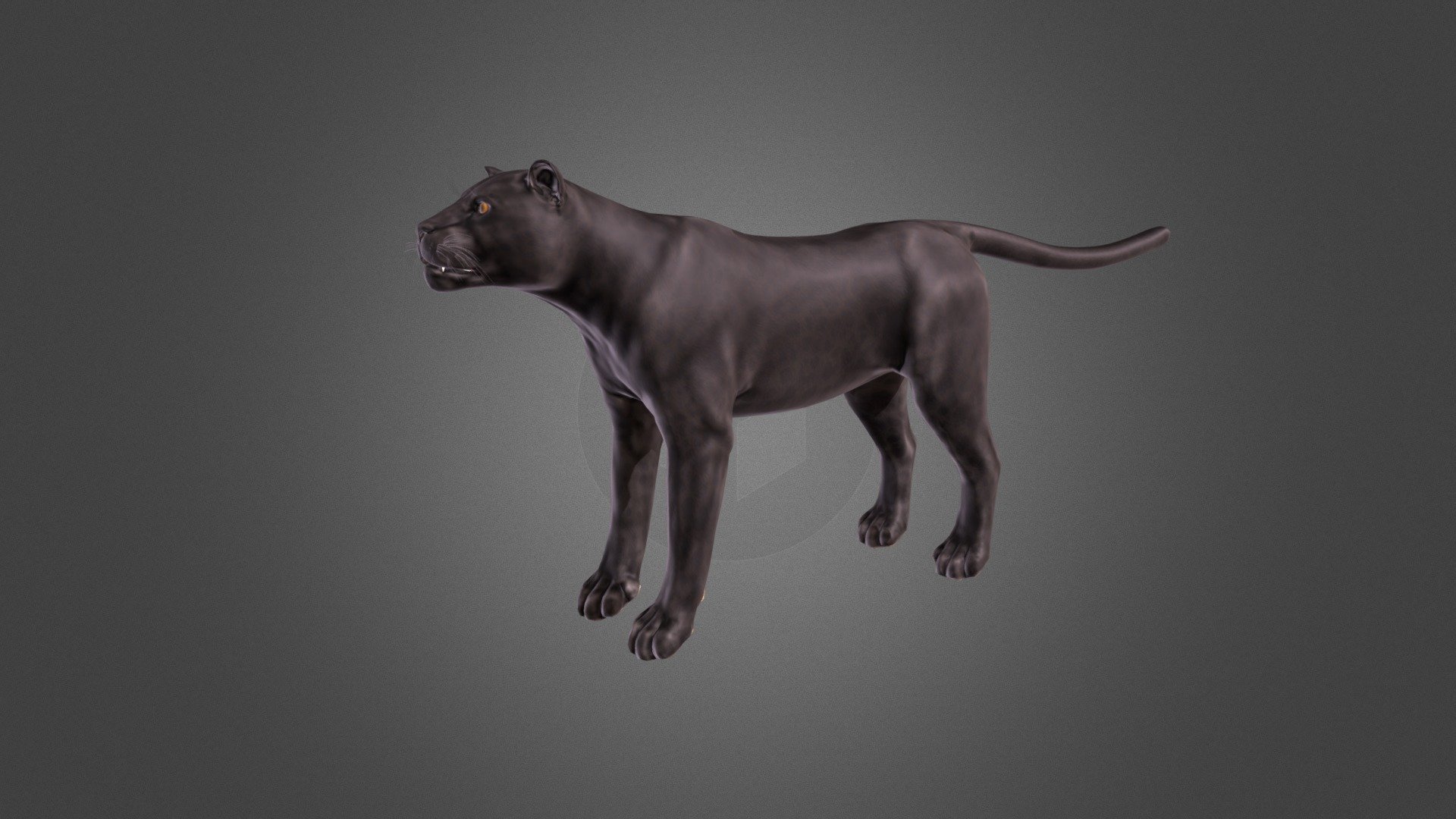 Panther - lowpoly 3d model - 3D model by rienerys 3d model