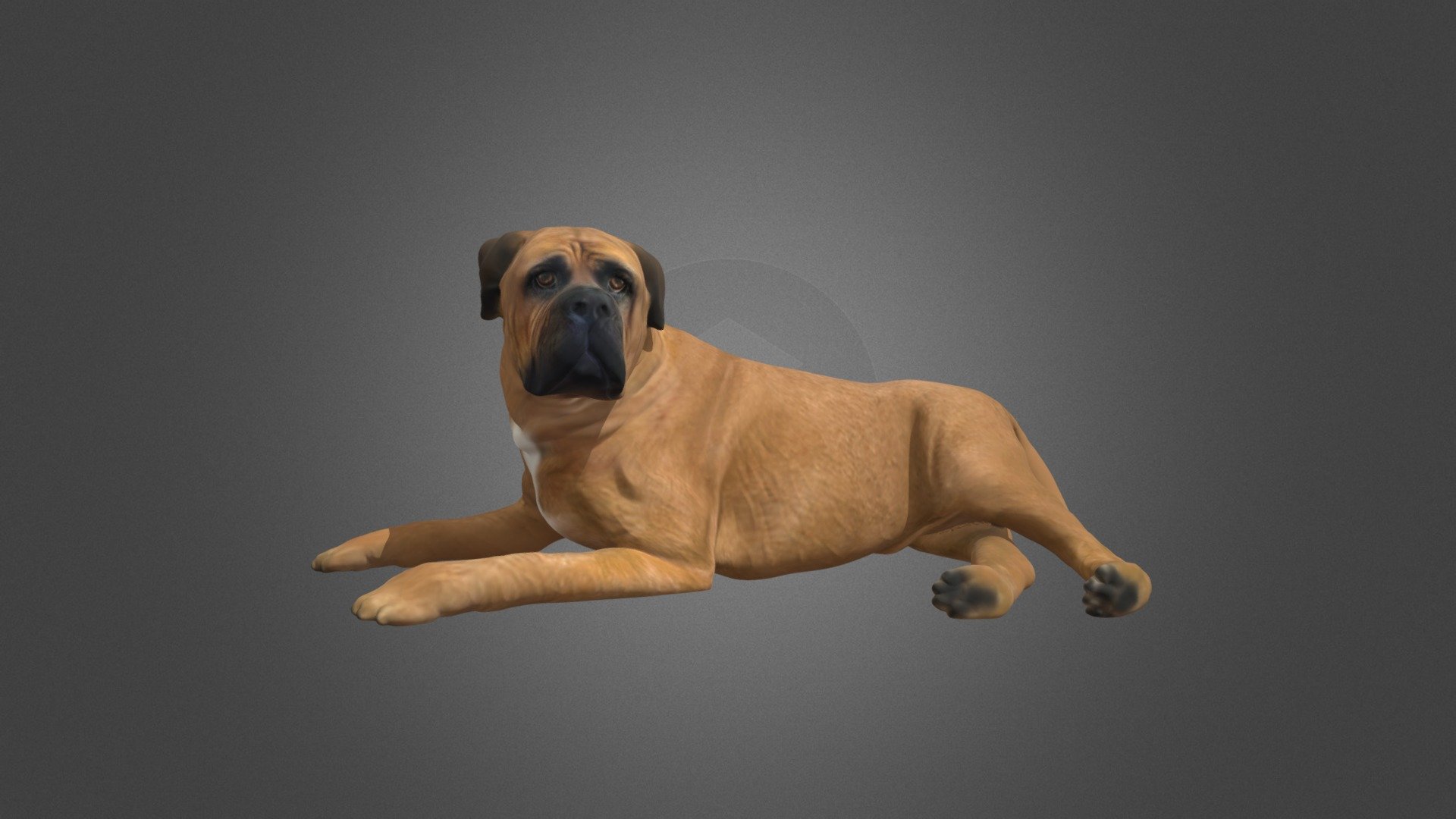 Dog_V1 - 3D model by Capture It In 3D (@CaptureMeIn3D) 3d model
