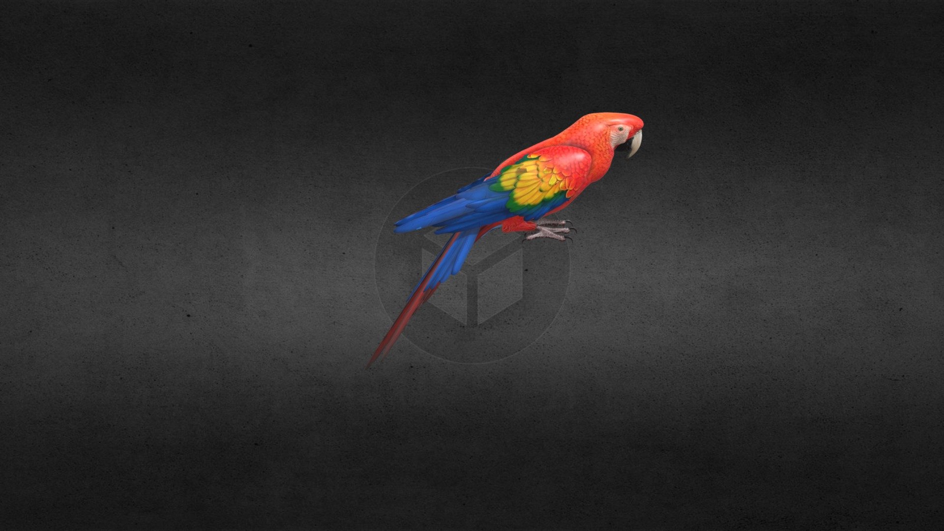 Model 3D animado para App de realidad aumentada - Guacamaya Parrot - 3D model by Ear.Rodriguez 3d model