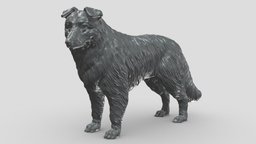 Sheltie V1 3D print model stl, dog, pet, animals, figurine, 3dprinting, doge, 3dprint, dogstl, stldog