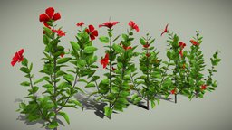 Hibiscus Plant Model plant, flower, flowers, blender3dmodel, hibiscus, plantmodel, leaves, plants-nature, flowers3d, archviz-props