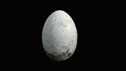 Ceramic Egg (Liverpool Court Housing)