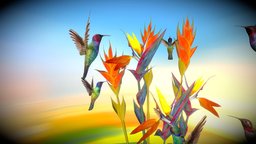 Hummingbirds + Tropical Flowers cute, bird, birds, flower, tropical, animals, flowers, hummingbird, floating, cutie, rainforest, cutiefly, kolibri, fly, animation