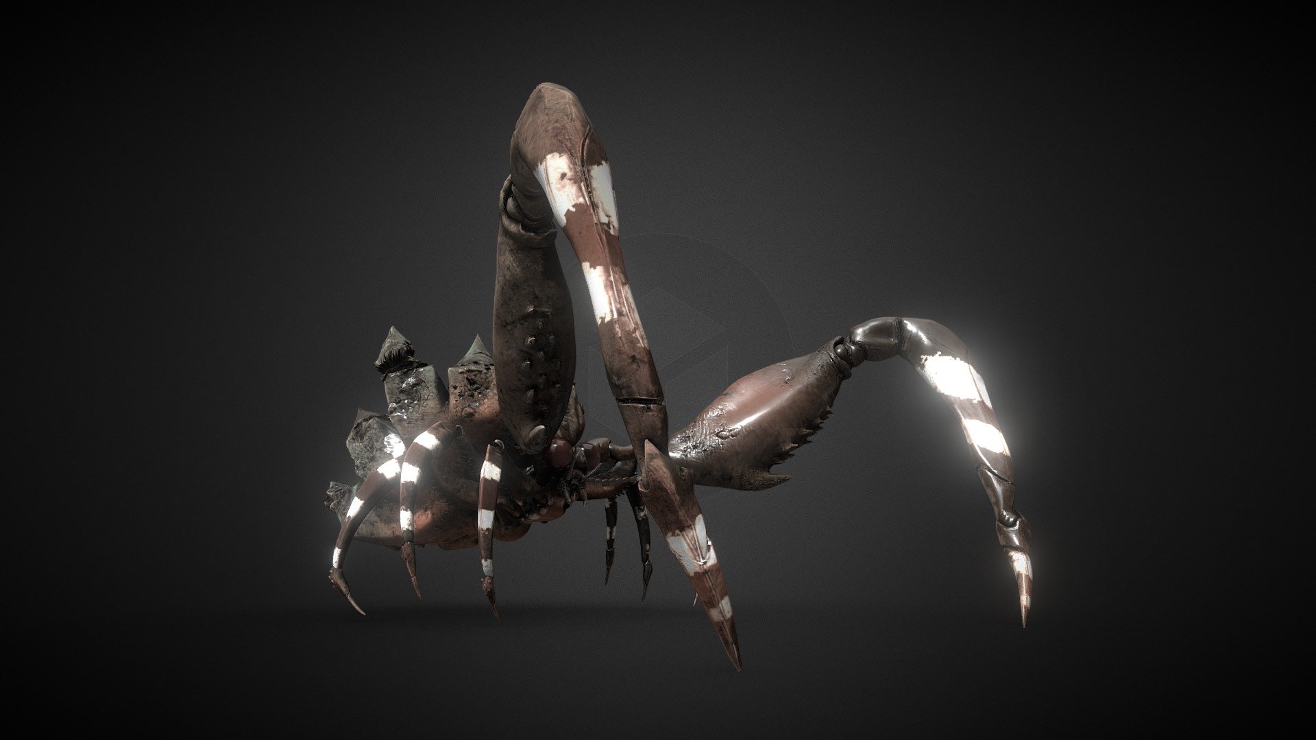 A quick sketch in adobe medium and then finished in zbrush

Come watch me make models like this at https://www.twitch.tv/smooth_octopus - Stoney Bug - Download Free 3D model by nataliedesign 3d model