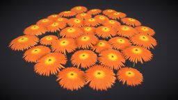 Orange Flowers Patch
