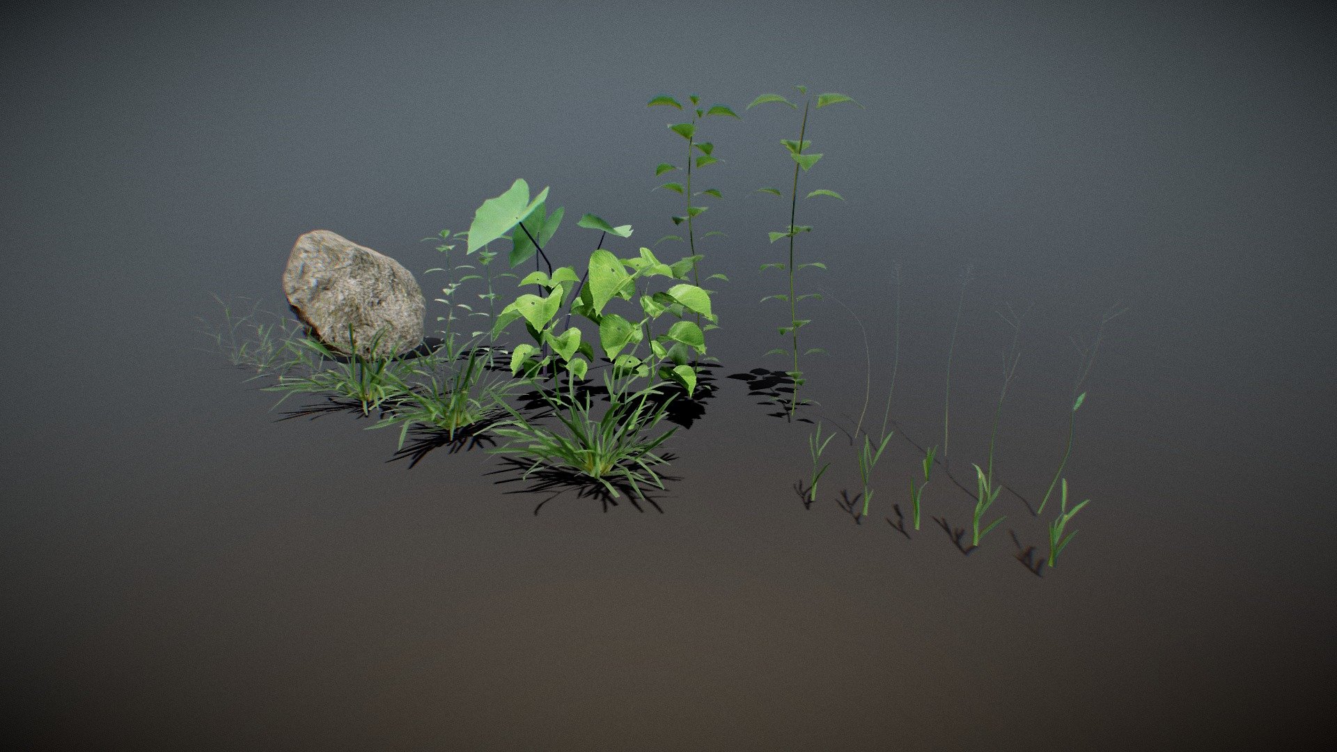 This my new Nature asset packVol_01,ready to be rendered in any environment.
It will always appear realistic in any lighting.
The polygons are reduced to minimum for optimum performance in render times.This pack includes many different types of highquality textures for each individual 3d assset.This models are made without any add
itional plugins.

This pack includes various types of vegetations including grass and weeds.

This pack has total 12 different 3d assets

-including 2 different types of seed head,
5 various grass strands, one huge rock, 
2 leafyweed, 3 colocasia plant, 4 long grasses, 
3grass clumps, 
3 grassyweed, 
2 small plant and 
2 tall plants 3d model