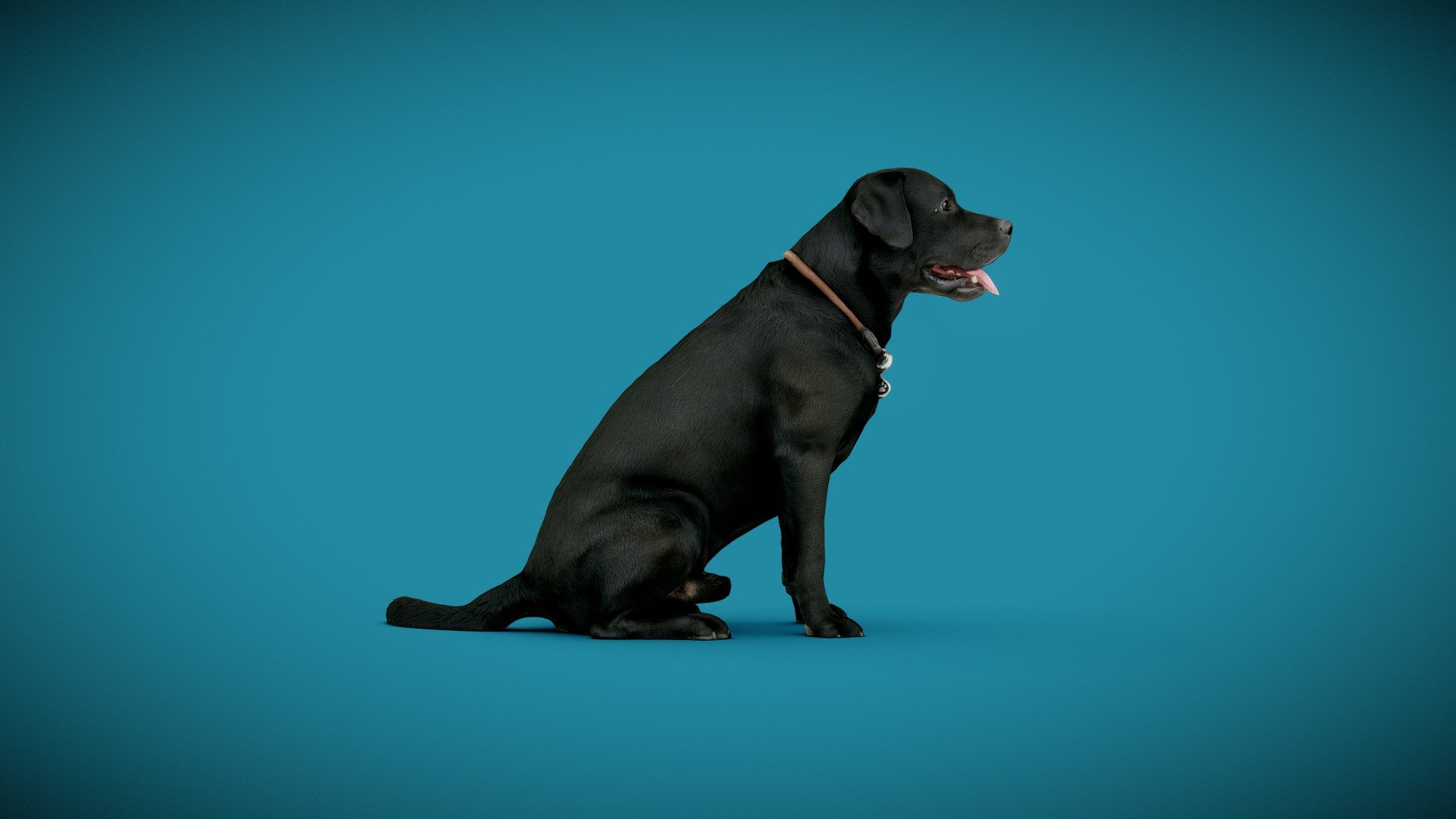 3d-dog-scan using photogrammetry technique // more poses and packages avaiable*




3D-Model approx. 50K triangles

4K DiffuseColorTexture

real scale

watertight

3d-ScanService: https://www.optimission.de

*
https://skfb.ly/o8q9P
https://skfb.ly/o8q9Q
https://skfb.ly/o8q9S - DOG A - 2of6 - Buy Royalty Free 3D model by Frank.Zwick (@Frank_Zwick) 3d model