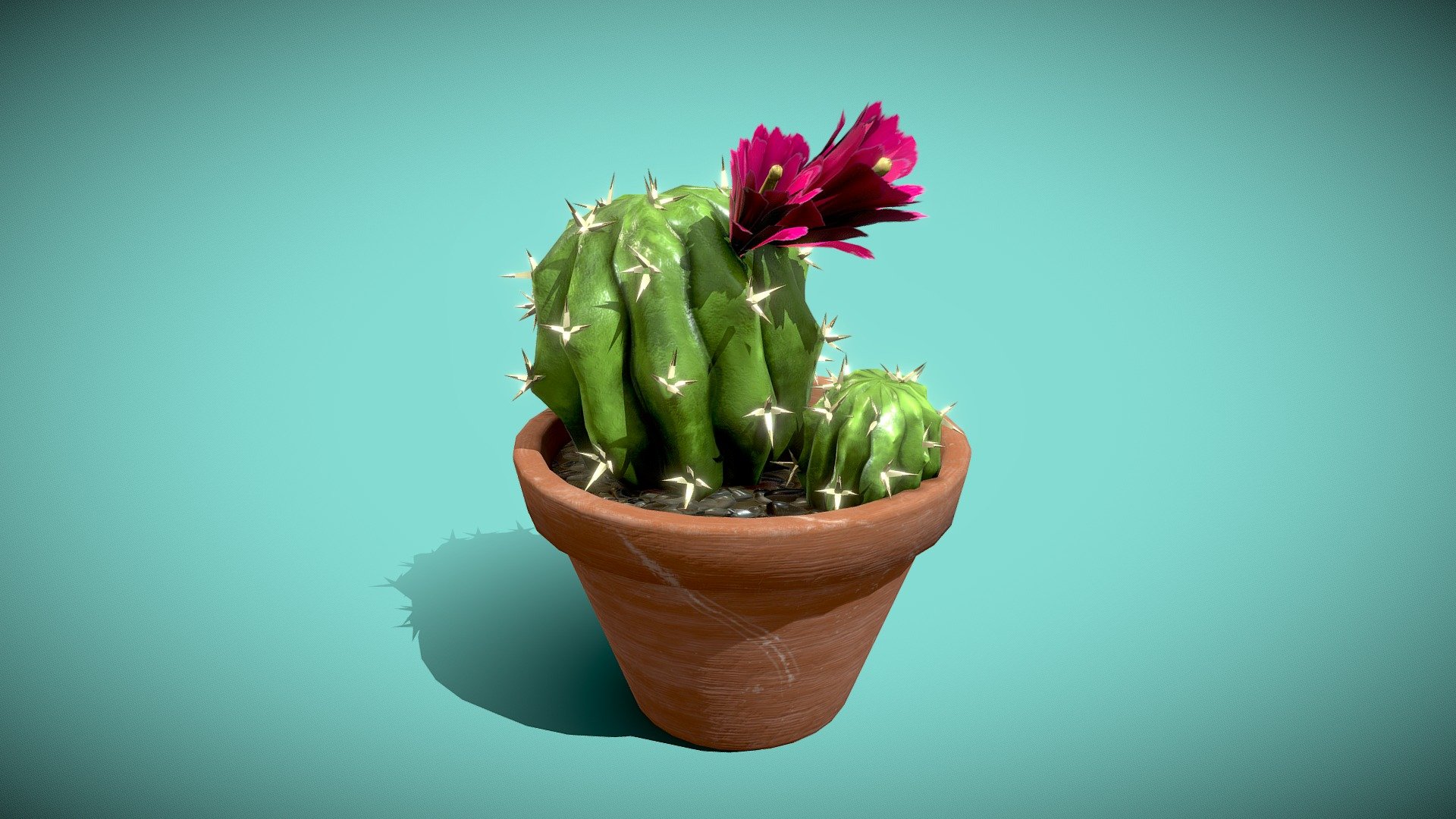Cactus in pot

4096x4096 PNG texture - Cactus - Buy Royalty Free 3D model by Karolina Renkiewicz (@KarolinaRenkiewicz) 3d model
