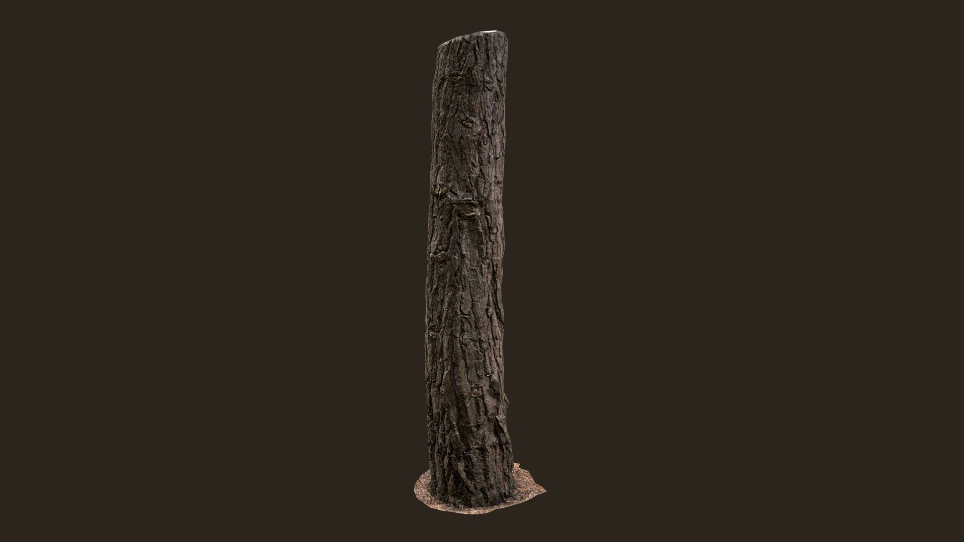 Mesh generated from photogrammetry data, also available in a pack of 12 tree trunks: https://sketchfab.com/3d-models/3d-scanned-tree-trunks-pack-01-989a4a762db44c4384a9262ee63accaf

The mesh comes with 4K Albedo, Specular, Cavity, Normal, Height and AO textures

More information at http://www.blog.moonday.fr/2020/07/sketchfab-store-pack-02.html - 3D scanned Tree trunk 09 - Buy Royalty Free 3D model by 1k0 3d model
