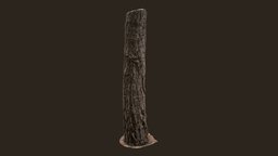 3D scanned Tree trunk 09 tree, trunk, bark, photoscanned, photogrammetry