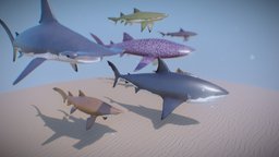 Seven Sharks Species ocean, sealife, unity5, sharks, unityassetstore, animation-blender, tiburones, animation-character, animation-3d-model-animations, animation-creature, oceanlife, unity3d, blender, sea