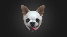 Jackies Chihuahua model dog, pet, personalized, chihuahua, custom-made