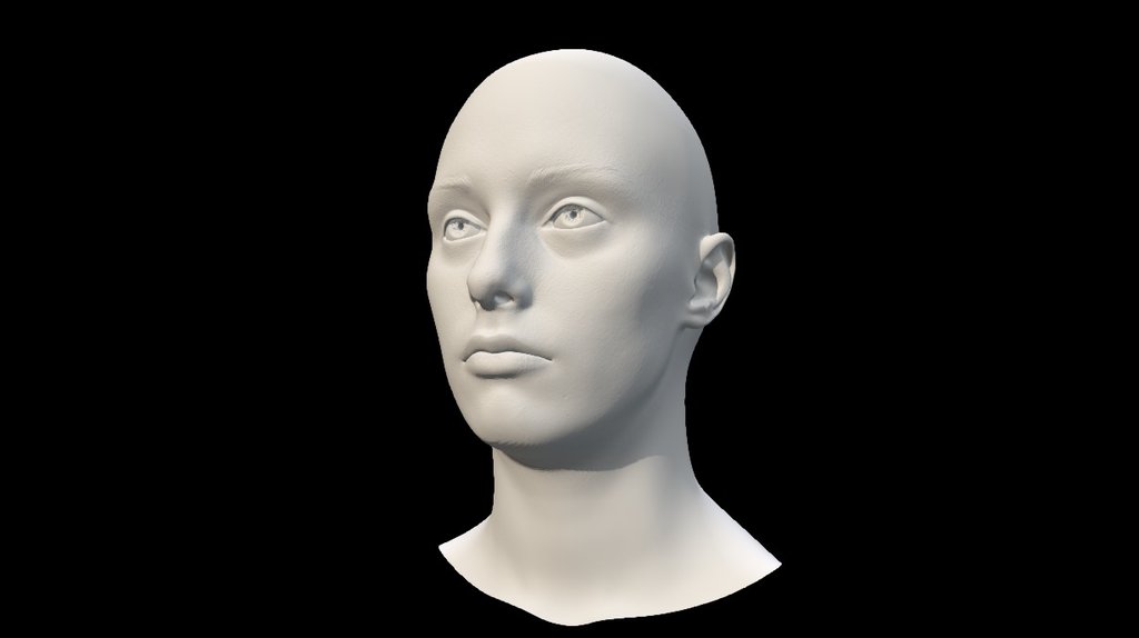 This is a reference model for learning a human form. Best for using in combination with a new Head &amp; Neck Anatomy book. 

More about teaching methodology please go to at www.anatomynext.com or contact us at support@anatomynext.com - Caucasian adult female neutral head scan - 3D model by Anatomy Next (@a4s) 3d model
