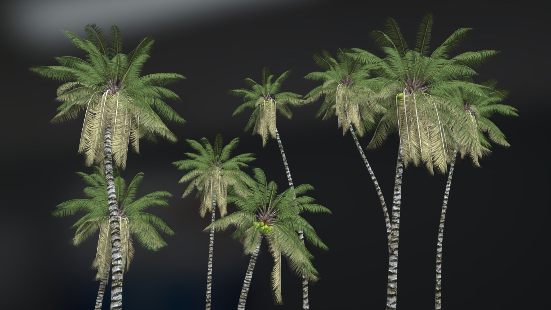 THIS PRODUCT CONTAINS MANY ANIMATED COCONUT TREES. IT MAY BE IDEAL FOR YOUR BEACH SCENES IN YOUR GAMES. HAVE A GOOD TIME! - MANY COCONUT TREES IN ANIMATION - Buy Royalty Free 3D model by PATH DEFORM (@pathdeform) 3d model