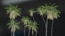 MANY COCONUT TREES IN ANIMATION trees, many, coconut, maya, game, 3d, 3dsmax, animation