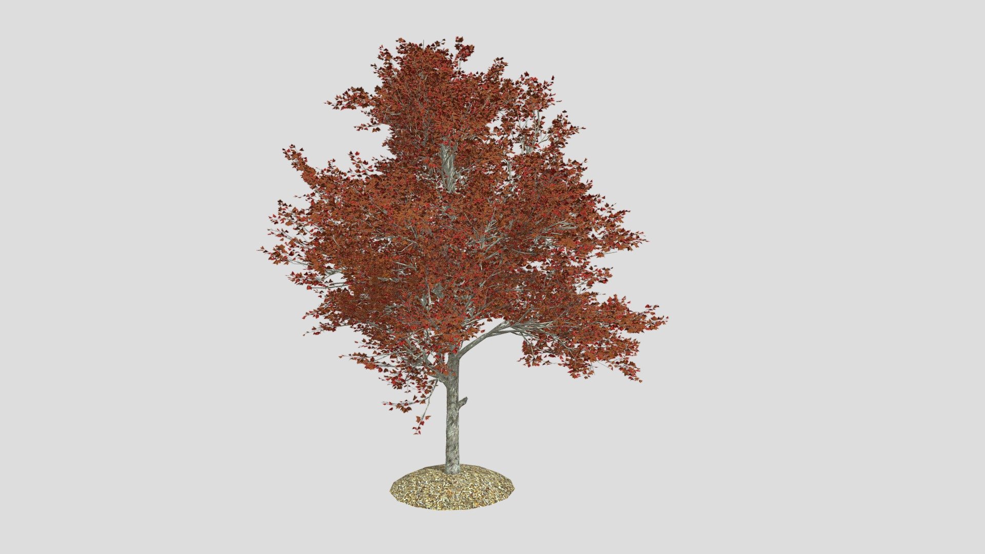 Features:


Vray &amp; Corona Render Engine Ready
OBJ &amp; Max Format
3DS Max 2015
Optimized
Clean Topology
Up to 99% Quad
Unwrapped Overlapping
Real-World Scale
Transformed into zero
Grouped
Objects Named
Materials Named
Up to 4K Textures map
 - Red Maple Fall Tree - Buy Royalty Free 3D model by DATEC_Studio 3d model