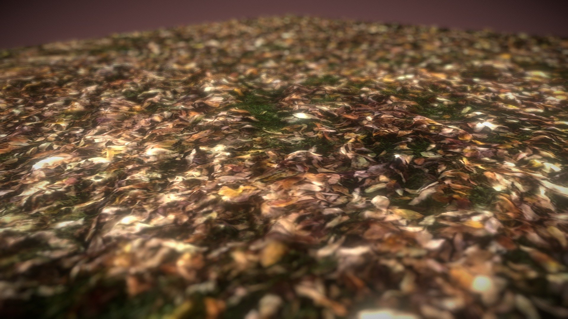 The ground covered in fall leaves 3d model
