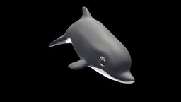 Dolphin cute, dolphin, animal
