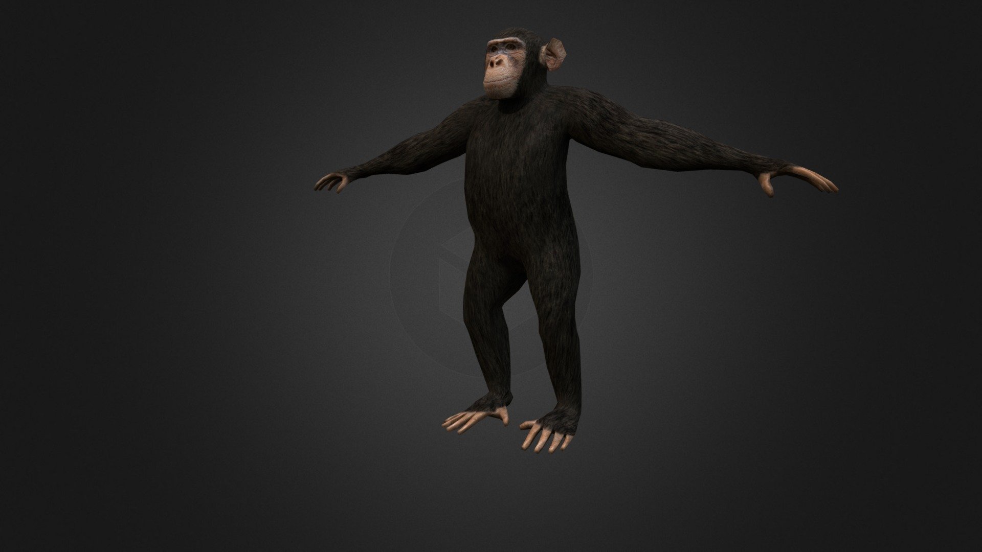 Chimpanzee - Buy Royalty Free 3D model by Ondřej Vališ (@throy) 3d model