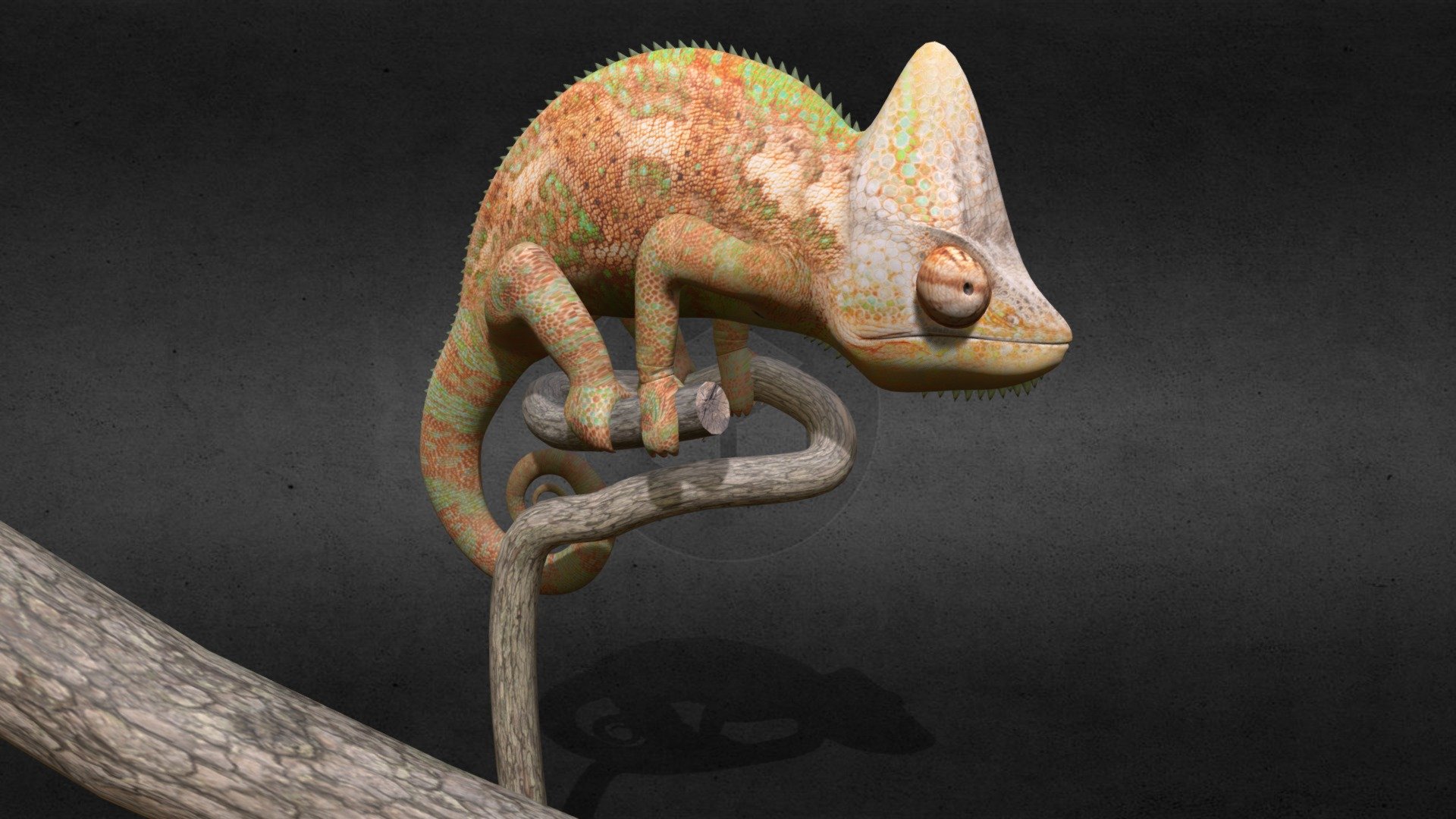 a chameleon 3d mesh 3d model